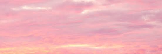 AlexandraGutman's profile banner image