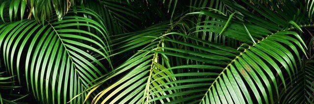 lauramaruiz's profile banner image