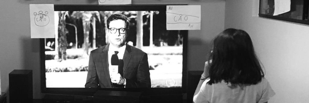 vladimir netto banner