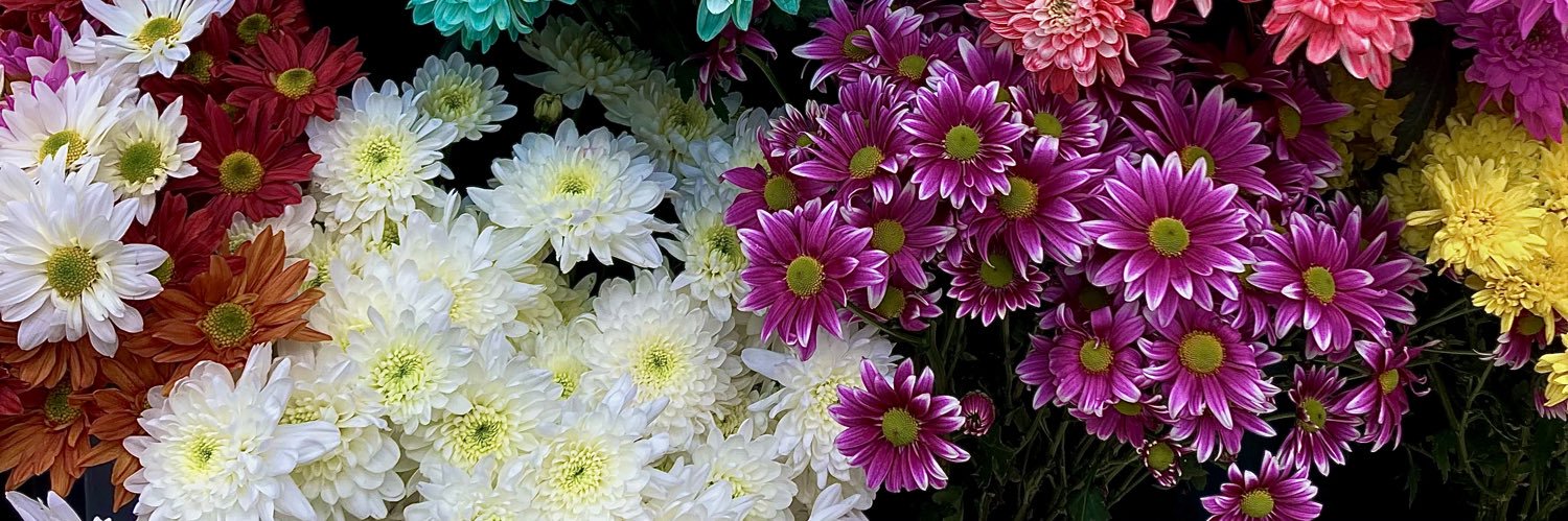 _divz's profile banner image