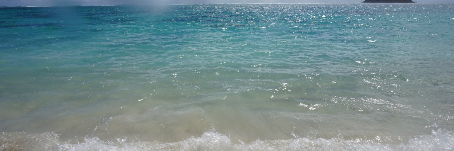_MsHaddock's profile banner image