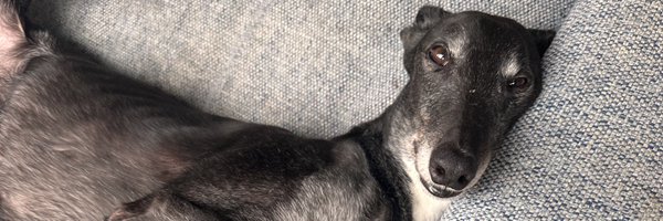 gamray Profile Banner