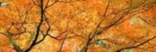 mckaycindy1's profile banner image