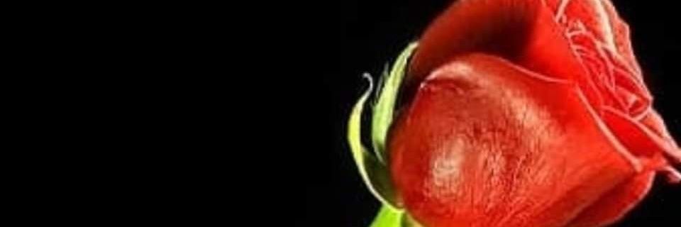 cabbar989's profile banner image