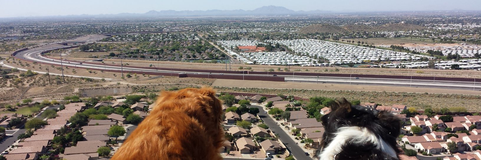 Andrew Bejarano banner