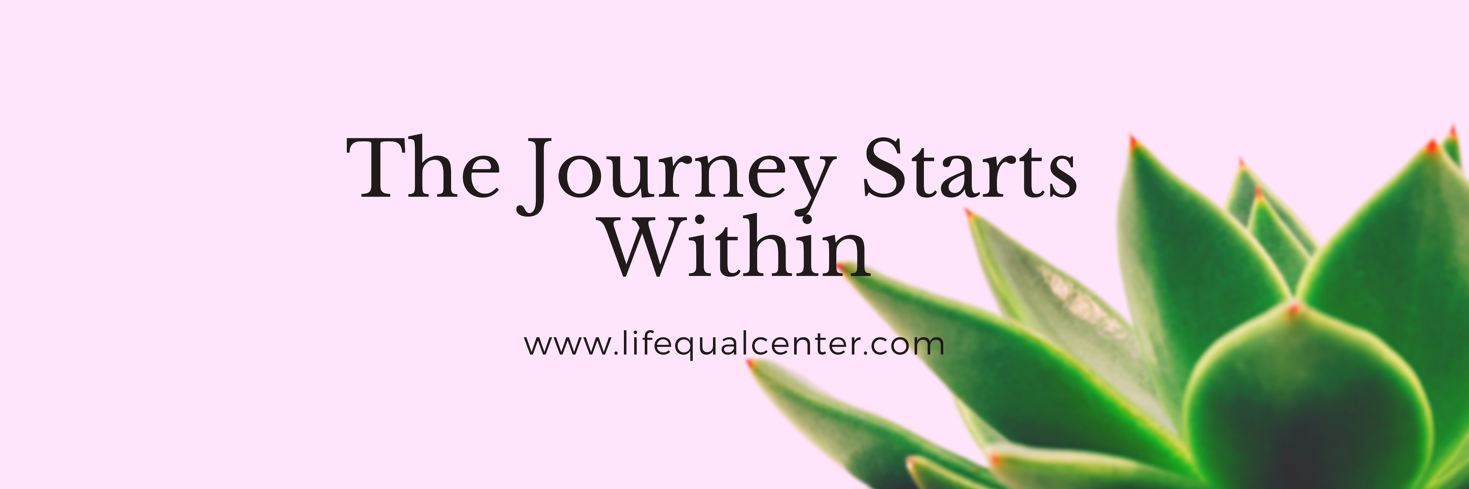 LifeQualCenter's profile banner image