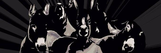 DesenKant's profile banner image