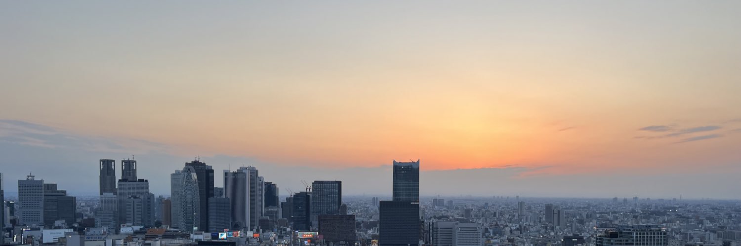S banner