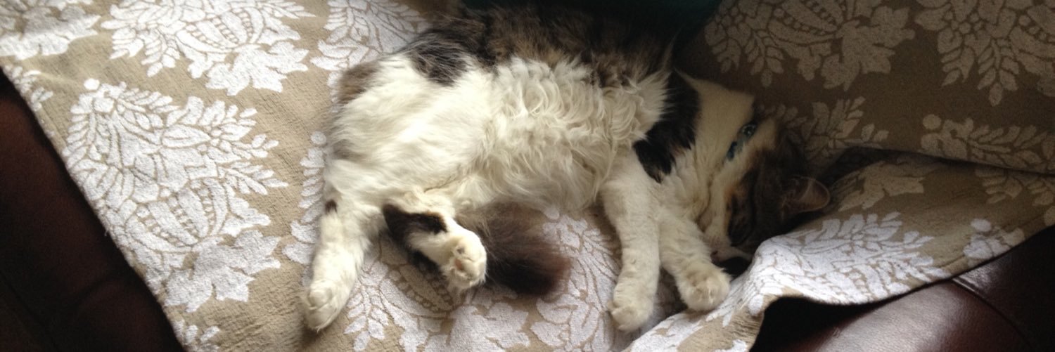 KierontheCat's profile banner image