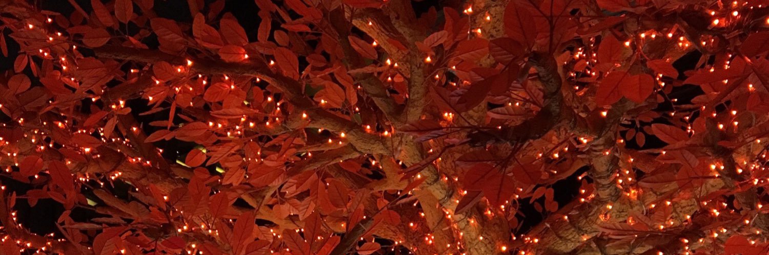 luciagorriz's profile banner image