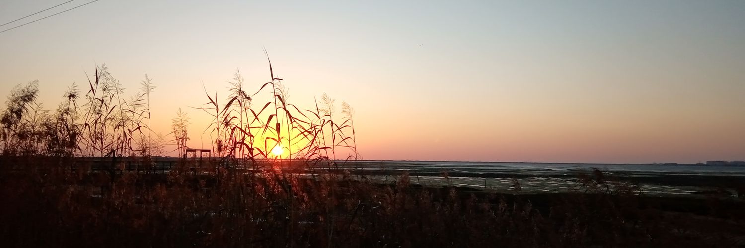 Marta_Castro19's profile banner image
