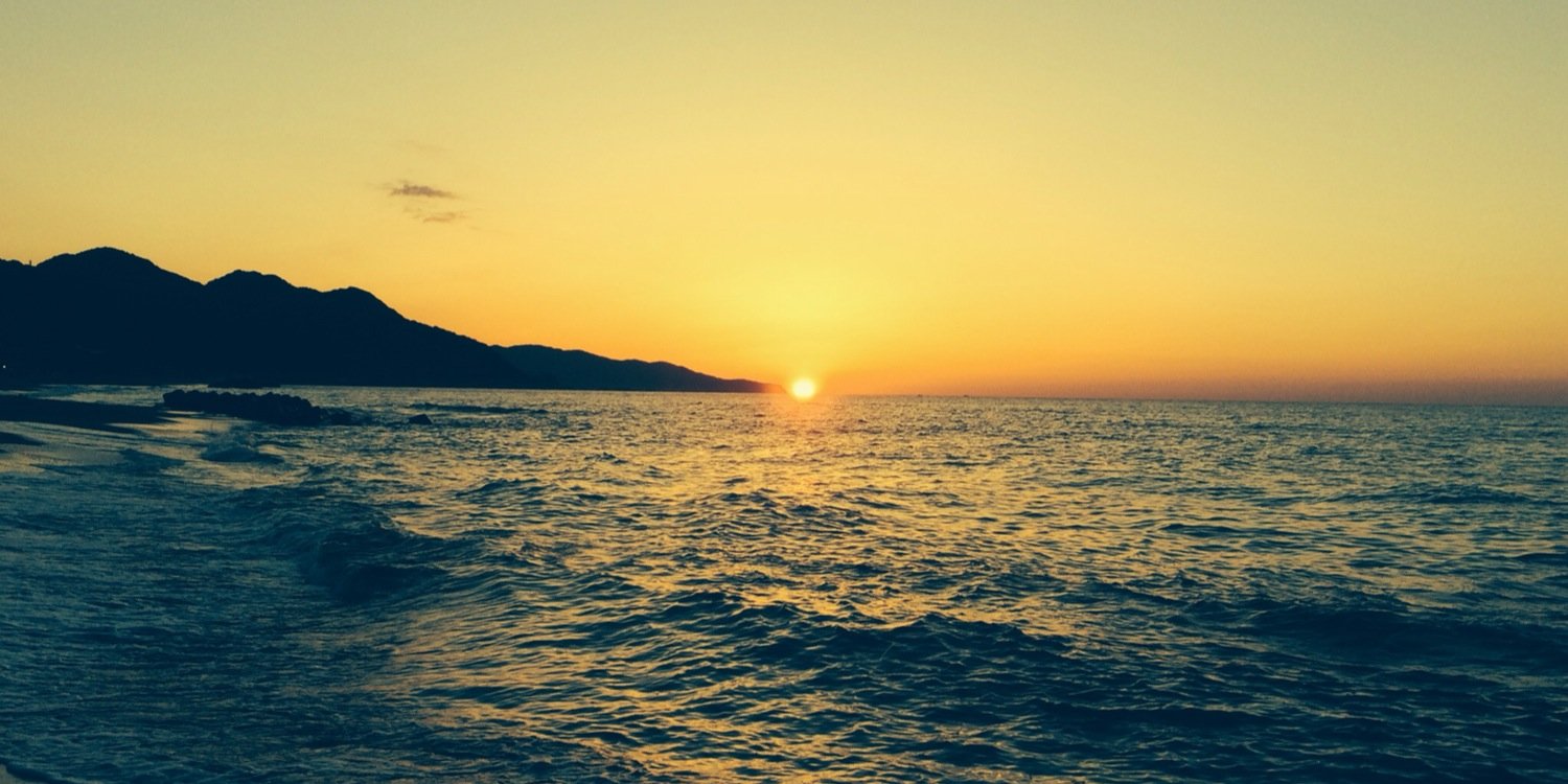 yellowtail0807's profile banner image