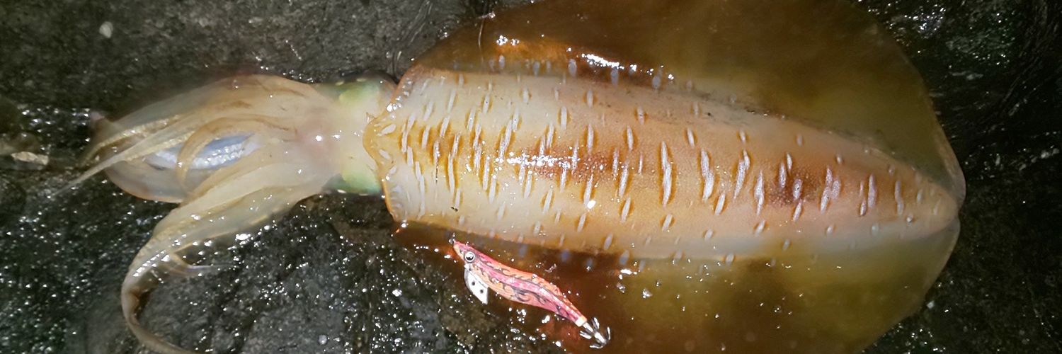 岩田 正人 banner