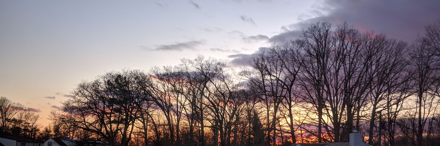 sbala_1's profile banner image
