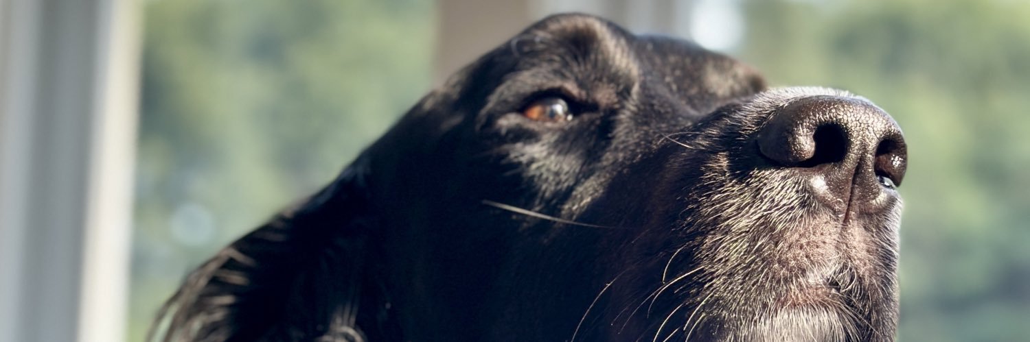 deijmaster's profile banner image