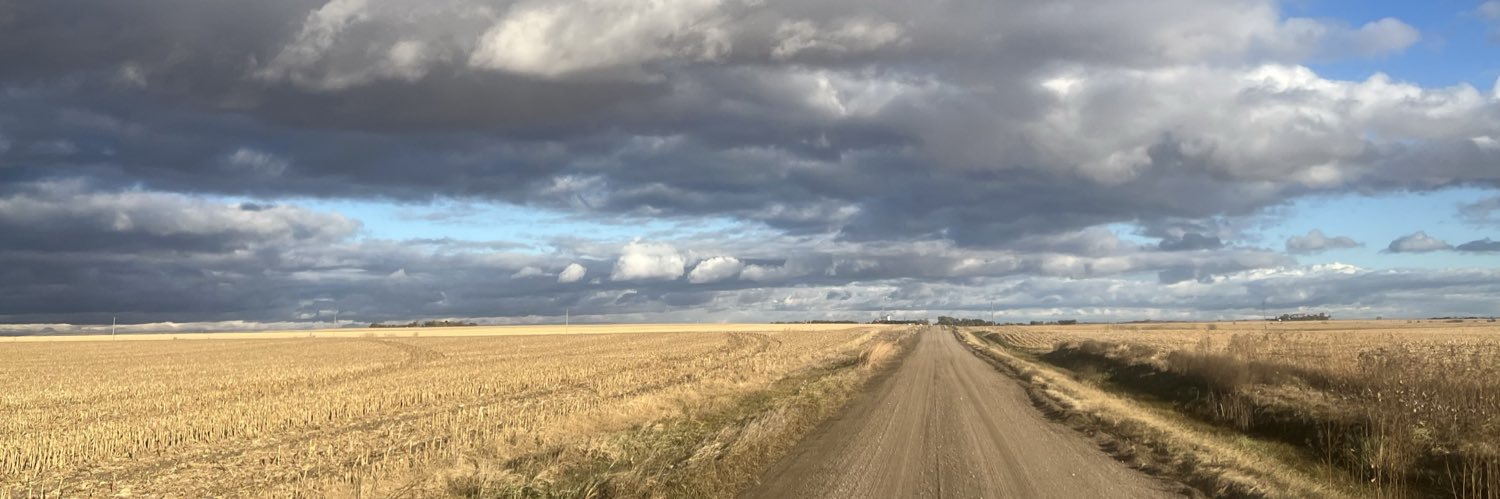 Danny Andersen banner