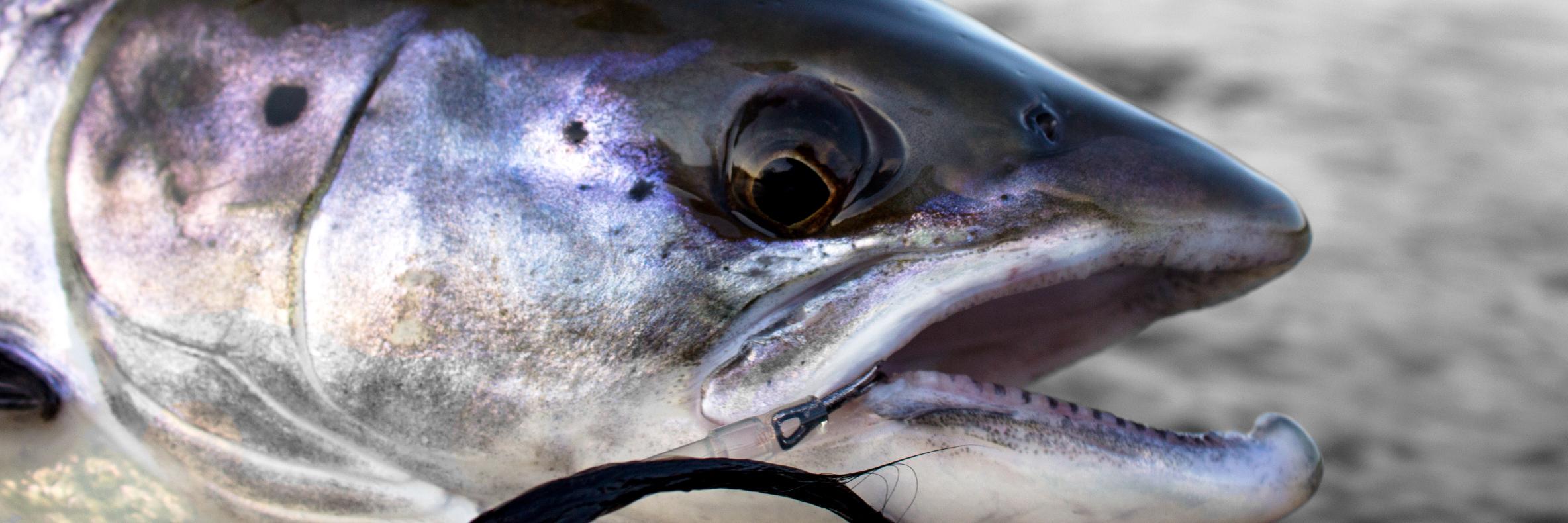 TwinPeakesFlyFishing banner