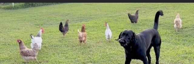 Alwayslauraaa's profile banner image