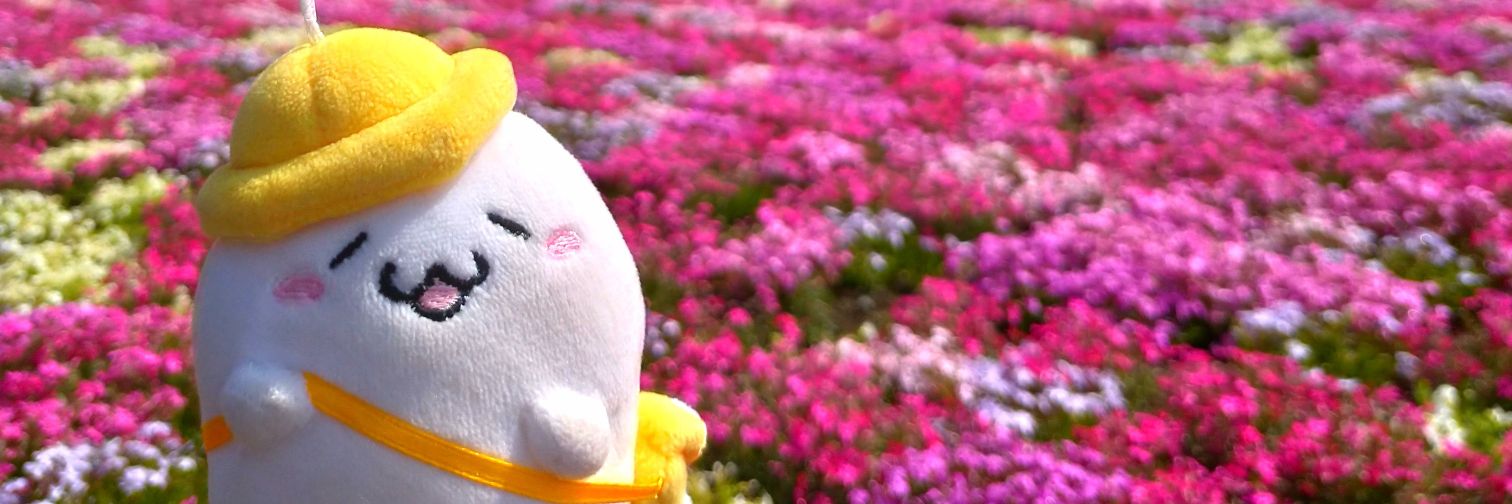 para_cheeza's profile banner image