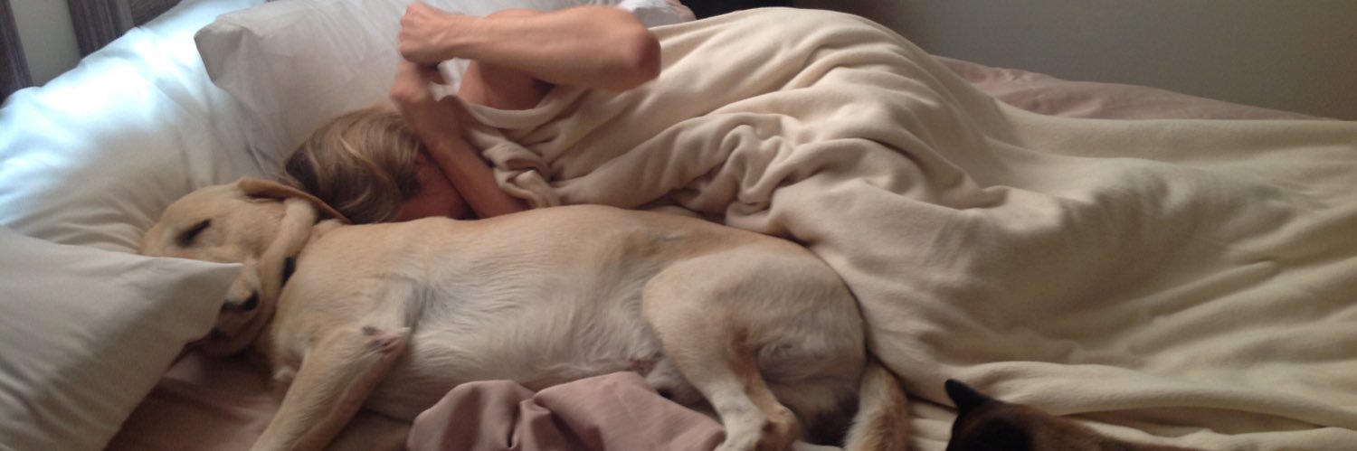 mark squire #FBPE banner