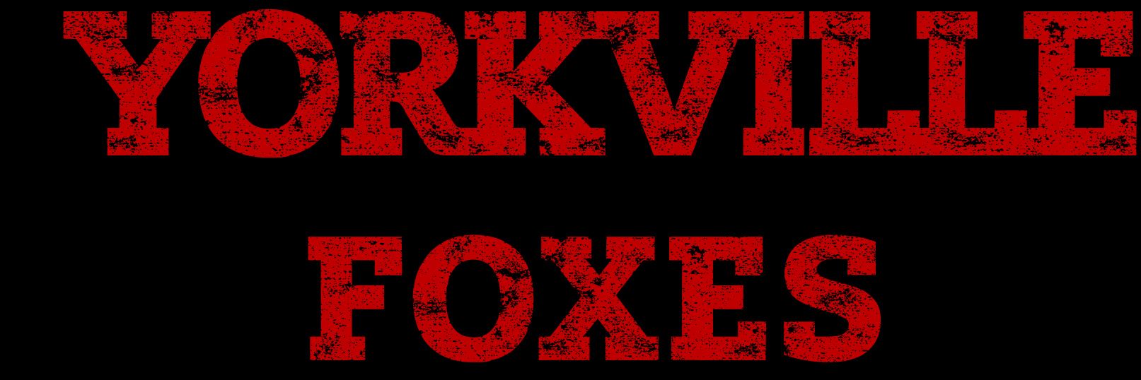 YorkvilleStep's profile banner image
