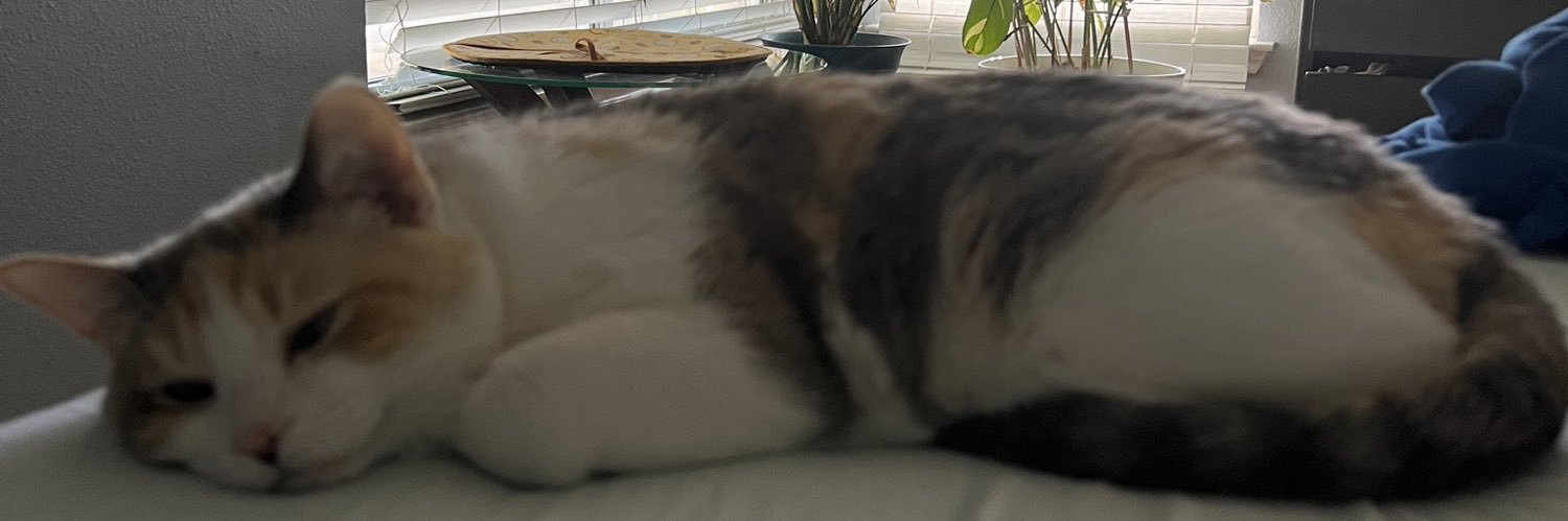 floofranger's profile banner image