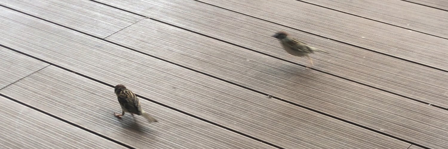 ARLDELIC's profile banner image