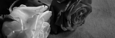 fiftysgrace's profile banner image