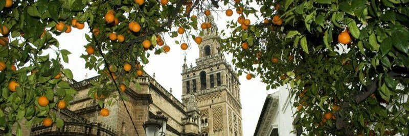 Lugar*ES Rural*ES 🍀 banner