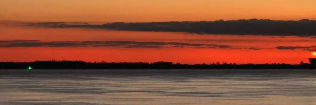 FMogetta's profile banner image