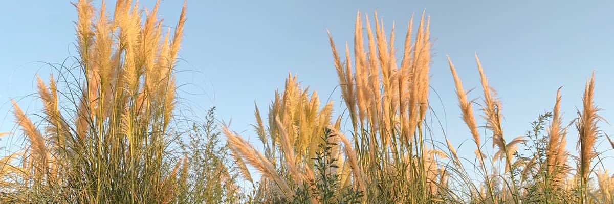 madelpi96's profile banner image