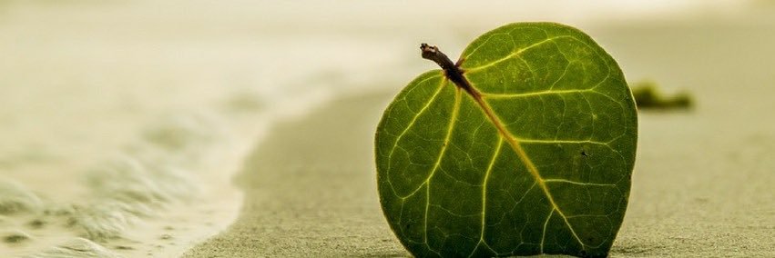 Gecko_Ken's profile banner image
