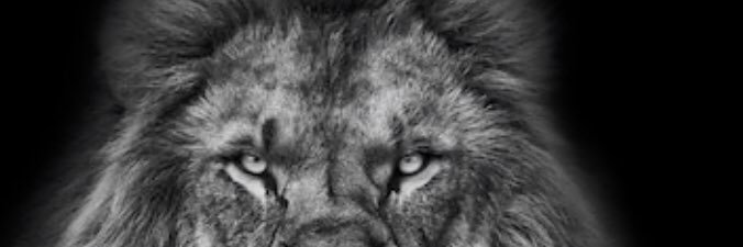 grbdauman22's profile banner image