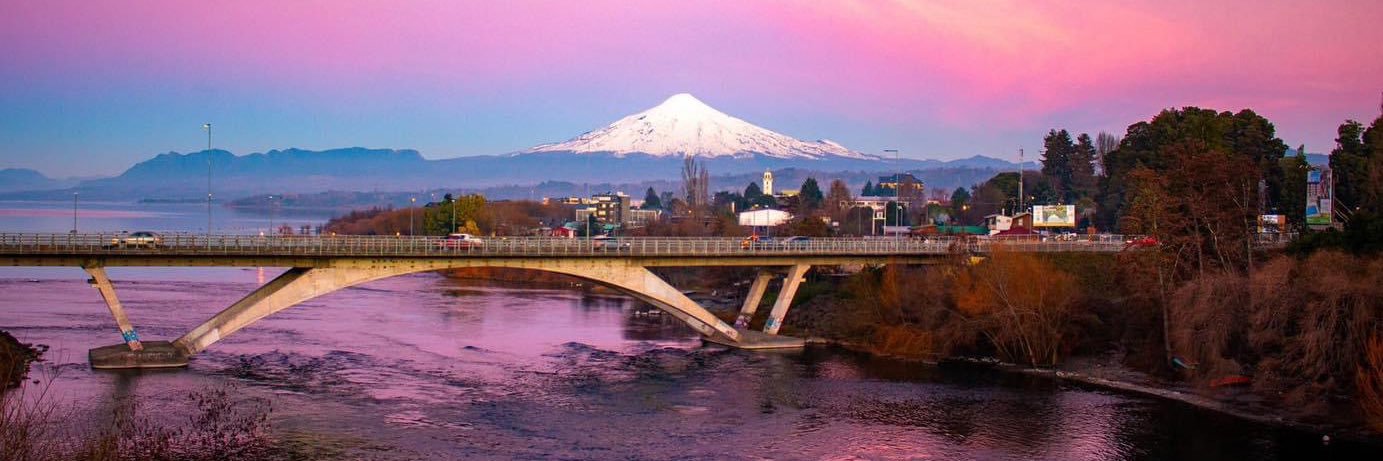 Antonieta Muñoz Navarro banner