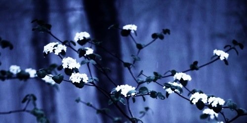 DylanRPGSSM's profile banner image