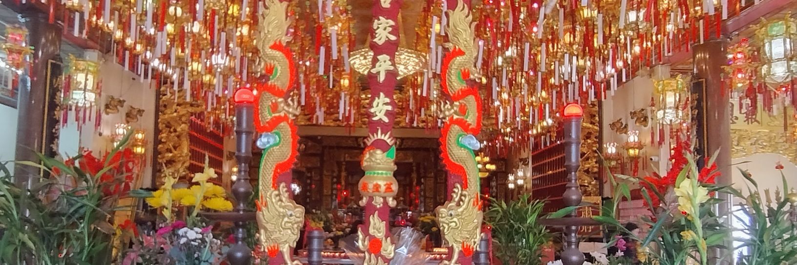 💙P r e z z i 🐦 banner