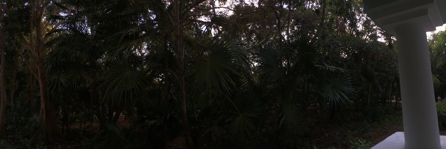 MikaylaCarsonnn's profile banner image