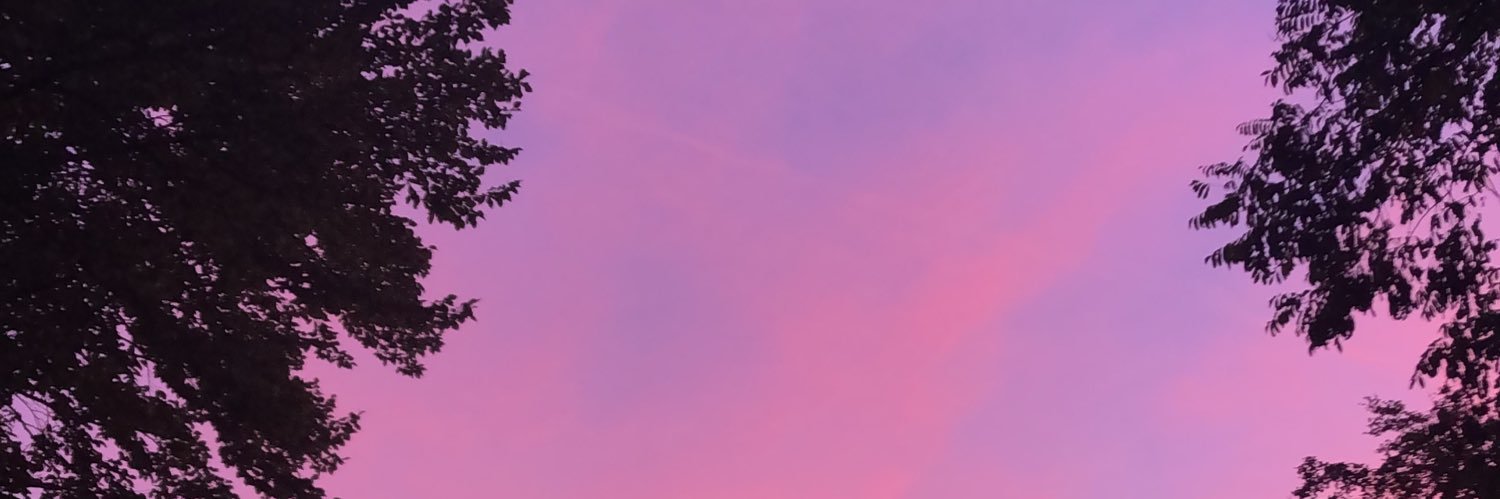 Ingrid_ZS's profile banner image
