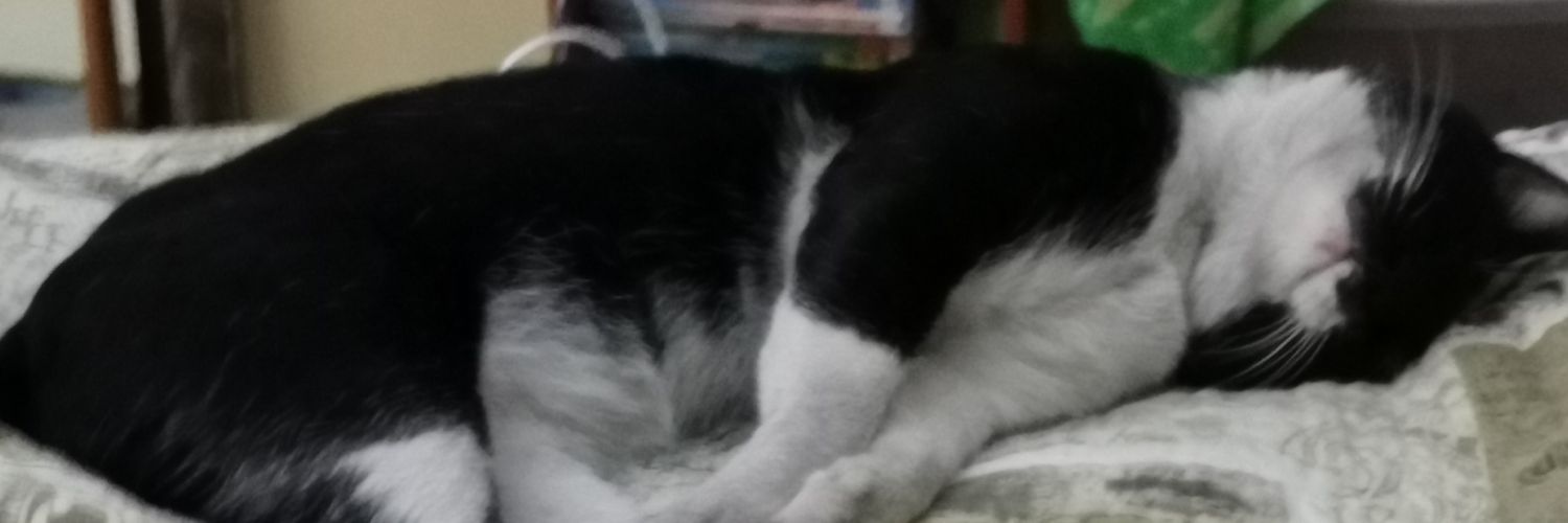 Dnenis05's profile banner image