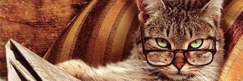 53noraNa's profile banner image