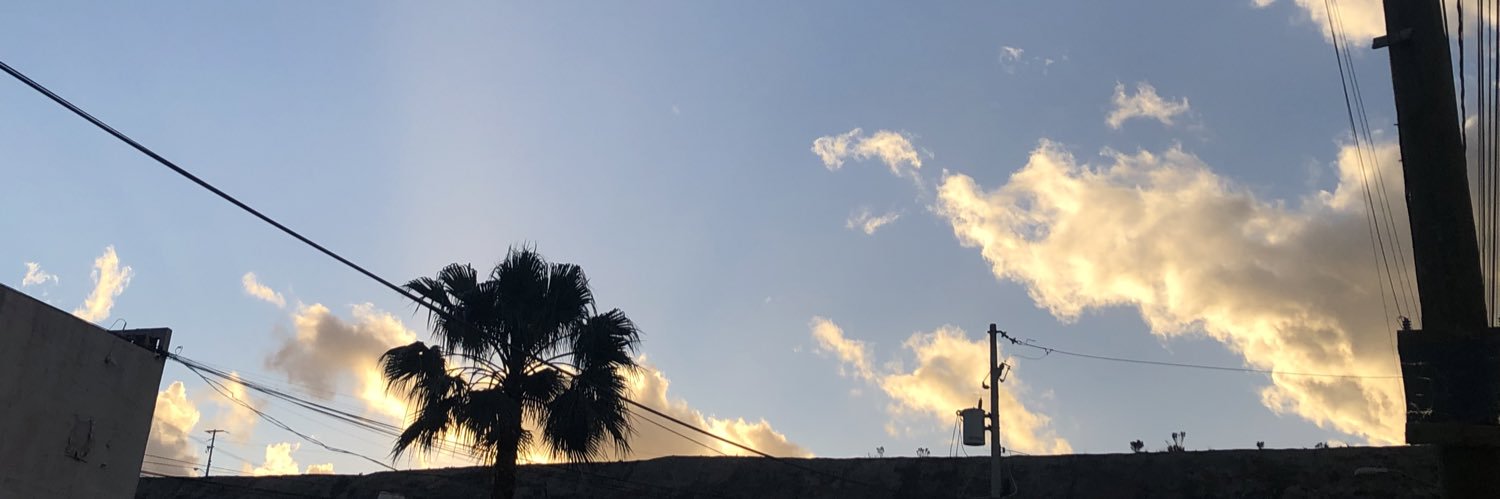 _elizabeth1133's profile banner image