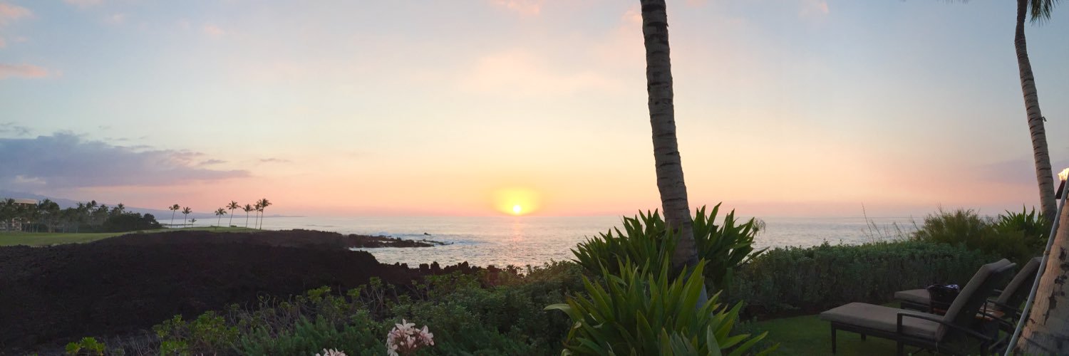 rychoiMD's profile banner image