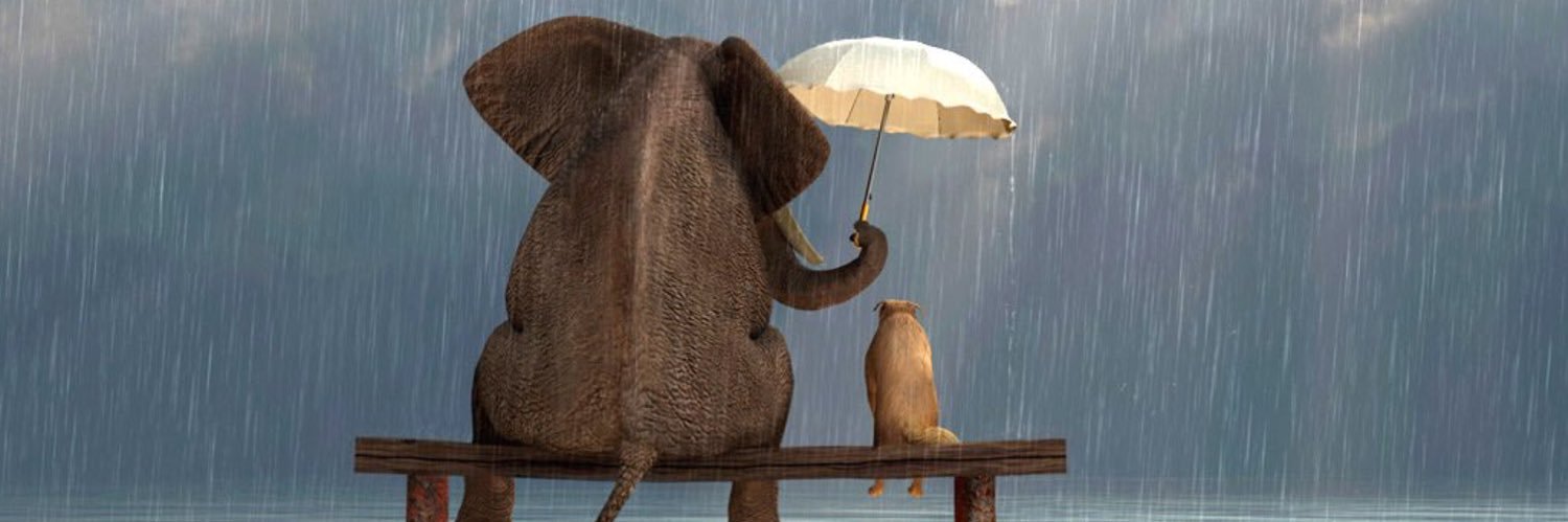 Linda 🇨🇦 banner