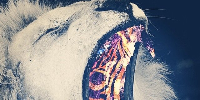 TopTierTeddy's profile banner image