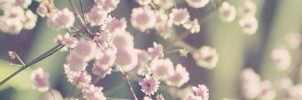 beutypics345's profile banner image