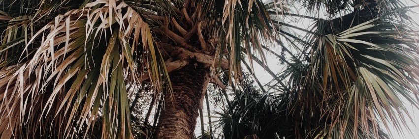 reyse_s's profile banner image