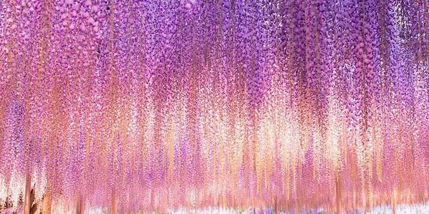 Longly Tide (@Longly_Tide) / Posts / X