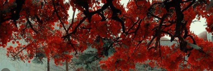 vantektg's profile banner image