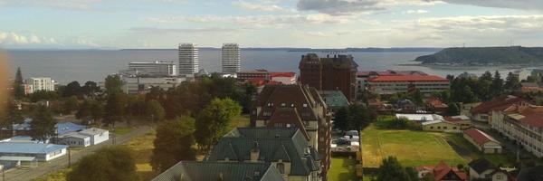 jotapeMendel Profile Banner