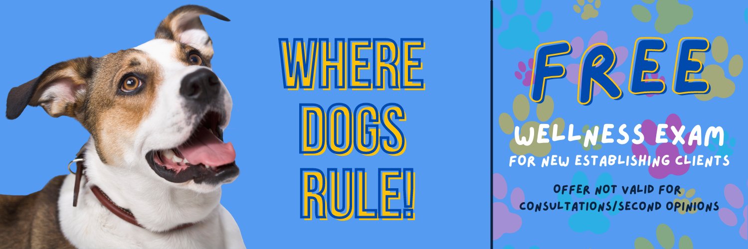 kelseycanine's profile banner image
